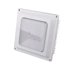 LED canopy light