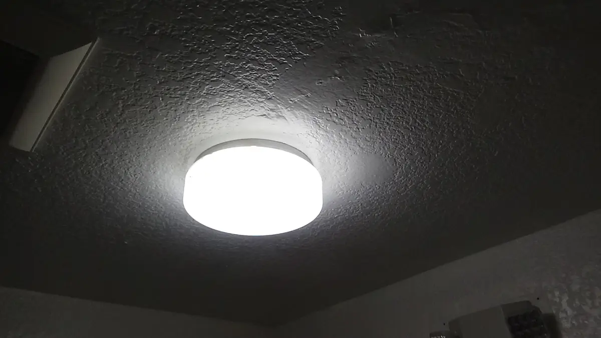 Homey before