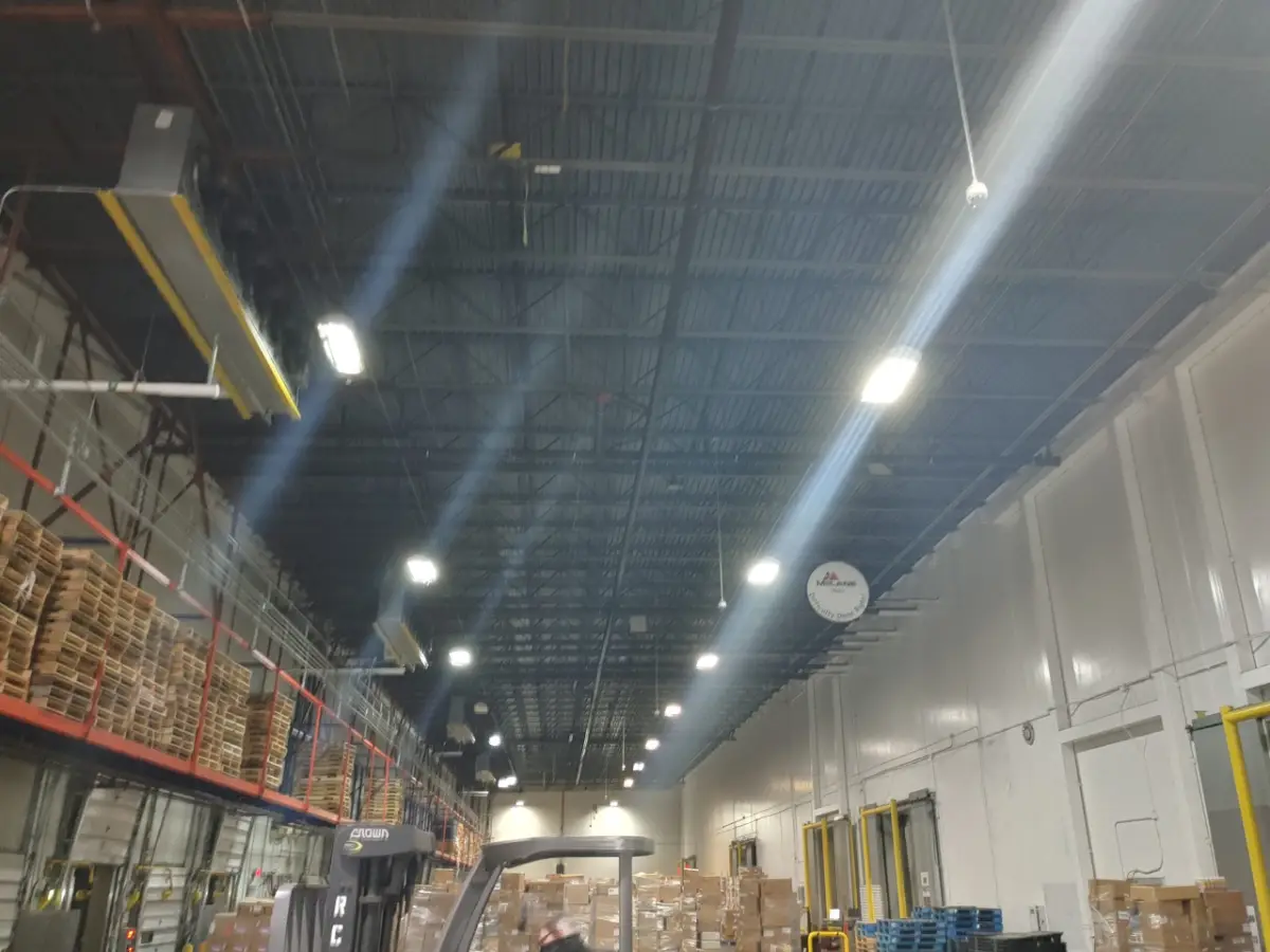McLane Distribution before
