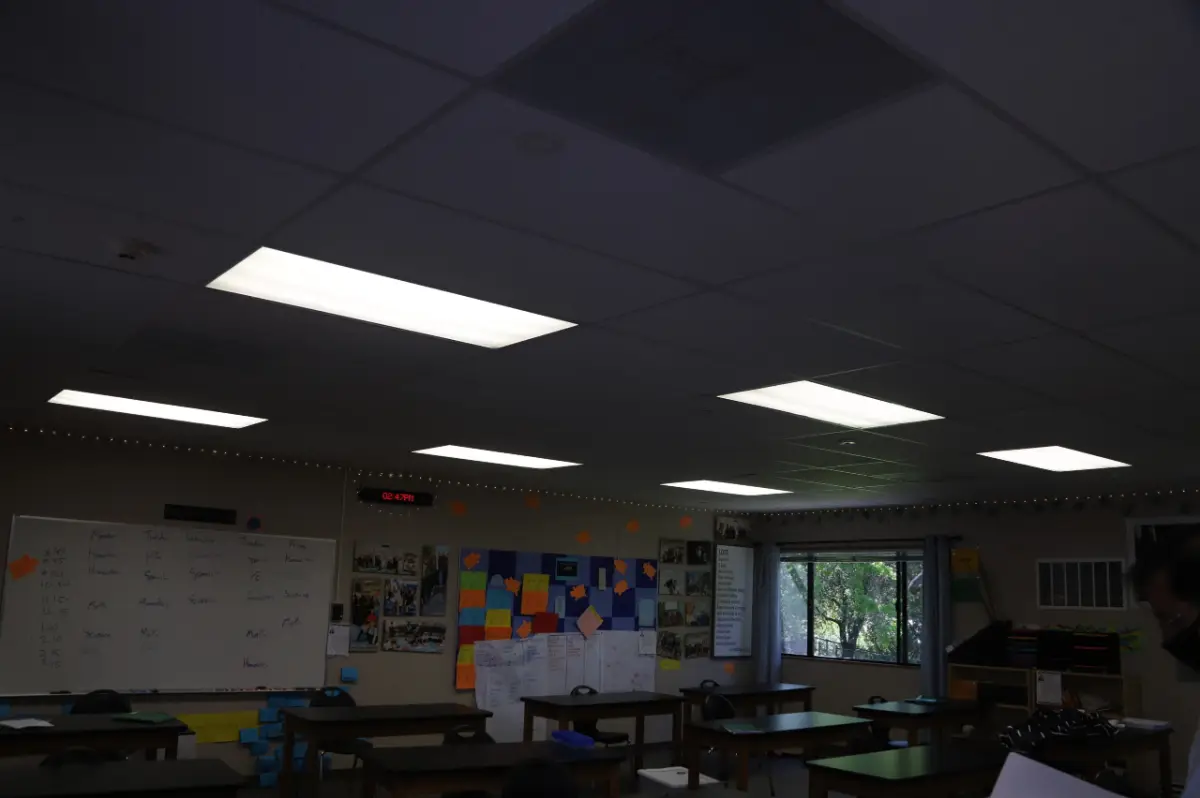 Woodland School before