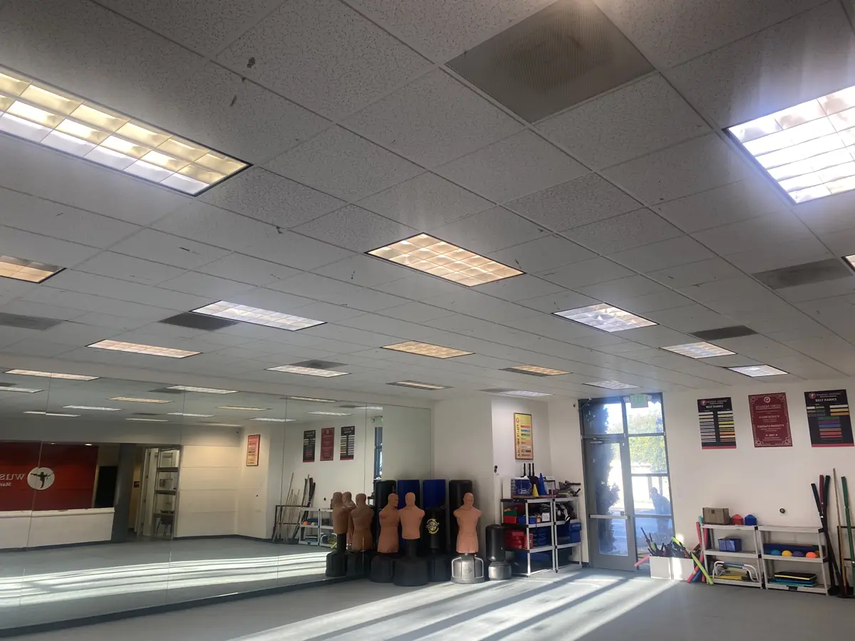 Wushu Academy before